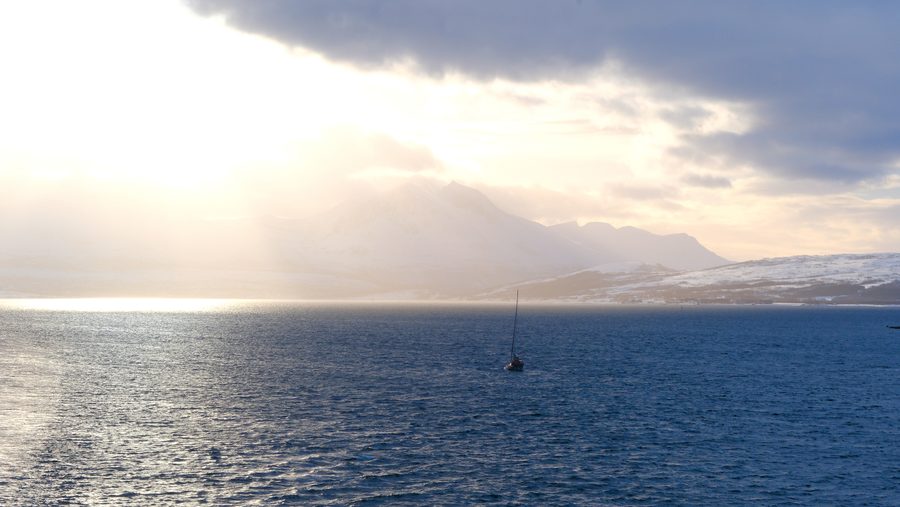 Solitaire arctique