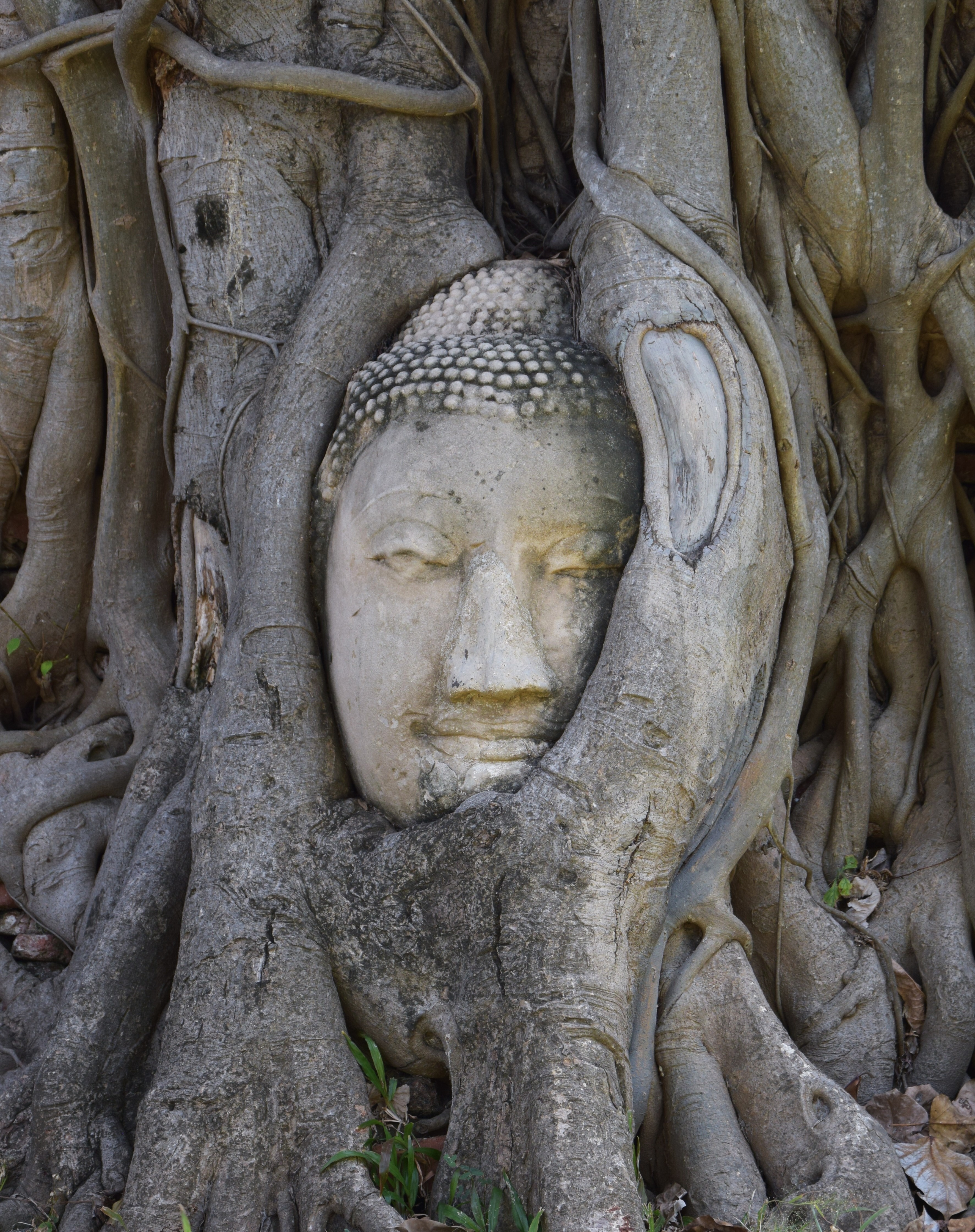 Ruines d'Ayutthaya